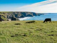 Padstow