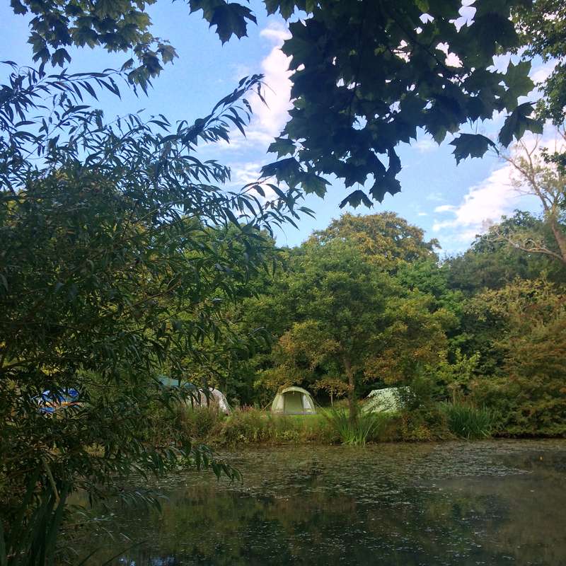 Grass Pitch for a Campervan/Tent