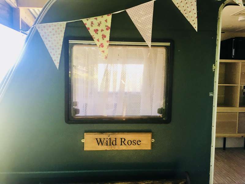 Wild Rose Vintage Caravan