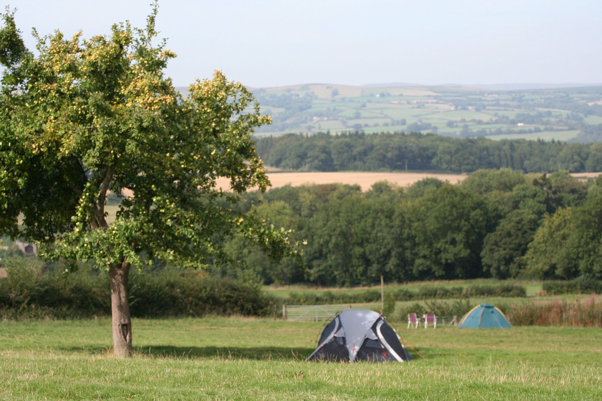 Campsites in Talgarth – Cool Camping