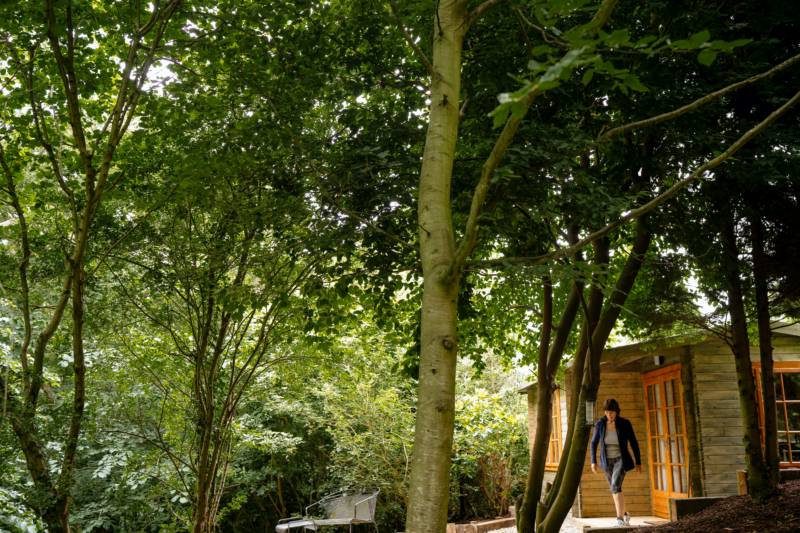 Treetops