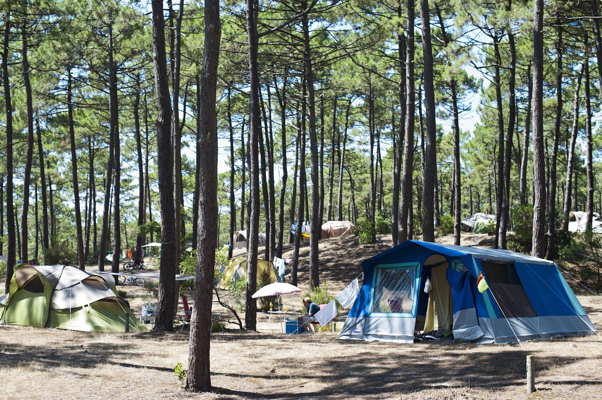 Campsites in Gironde holidays at Glampingly