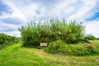 Skylark Yurt