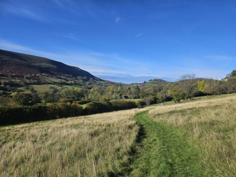 Lower Meadow Van / Roof Tent Pitch