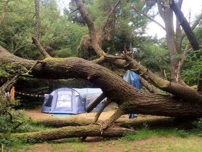 Woodland Wild Tent Pitch 21 At Ashbourne Woods Cool Camping 10143