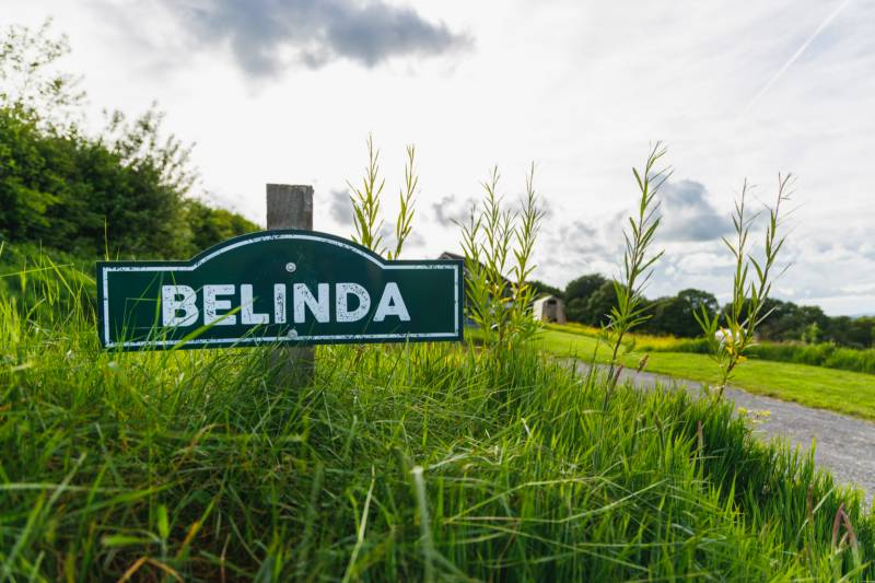 Belinda- Ensuite Campervan or Tent pitch
