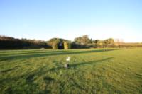 Grass electric pitch B3