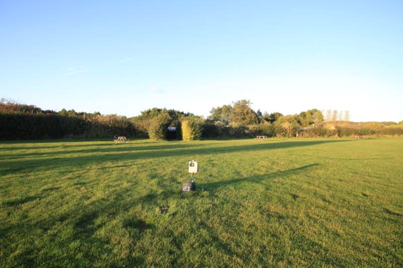 Grass electric pitch B3