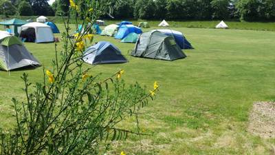 Lower Meadow camping pitch (1 tent or 1 van)