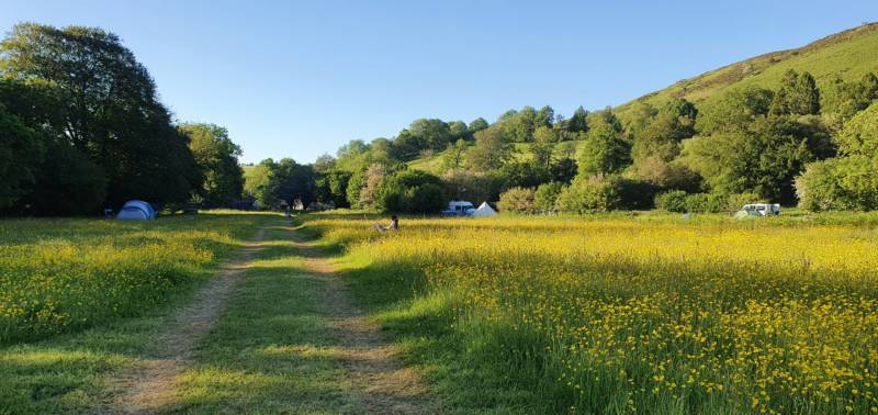 Meadow Single Pitch