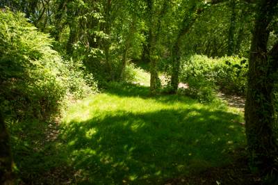 Lake Woods 3 - Wild Camping - Private Pitch