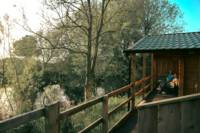 Willow Lodge