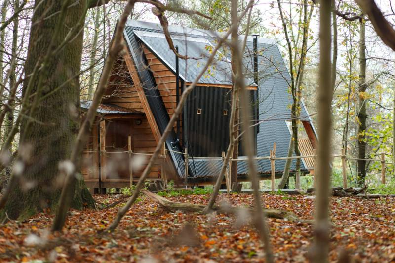 'Flint' the woodland den