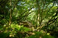 Lake View 1 - Wild Camping - Private Pitch