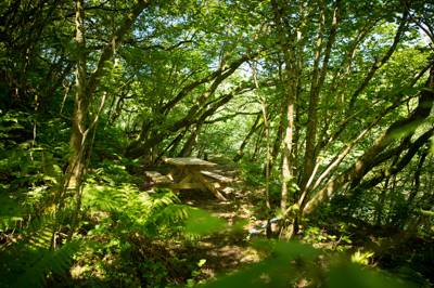 Lake View 1 - Wild Camping - Private Pitch