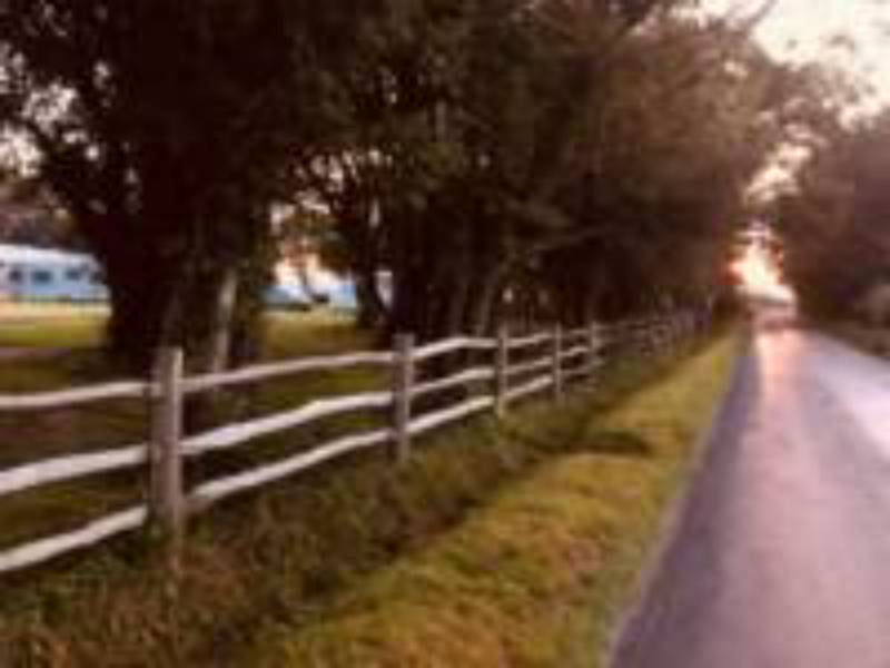 Camping Pitch 2 - Hard Standing