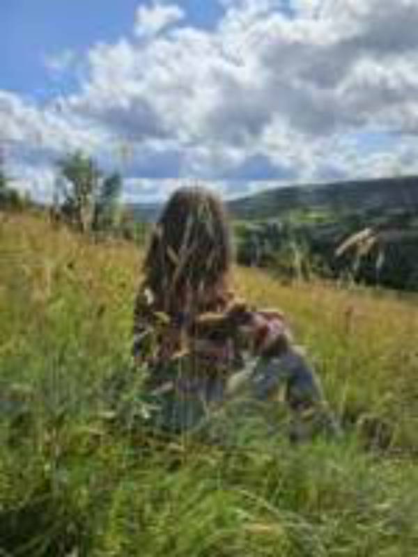 Upper Meadow Tent Pitch