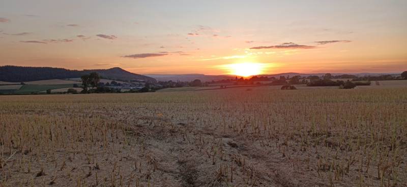 Wharton Shepherd's Hut