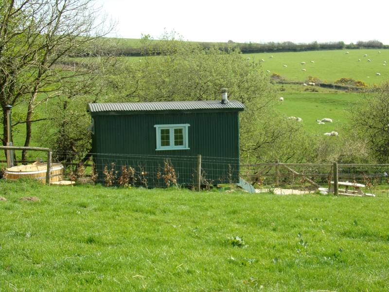 Shepherds Hut with hot tub