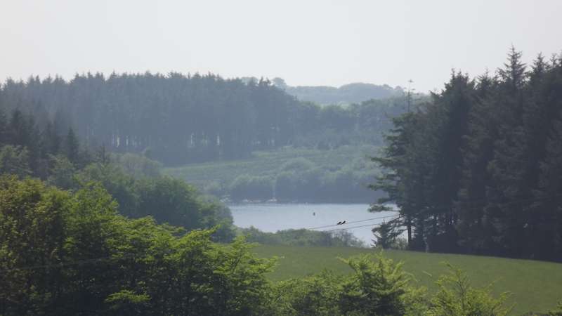 Shepherds Hut with hot tub
