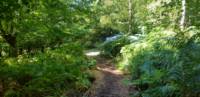 Faraway Tent Pitch
