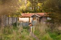 The Boatshed