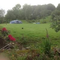 Grass Pitch No under 13 yrs No family groups
