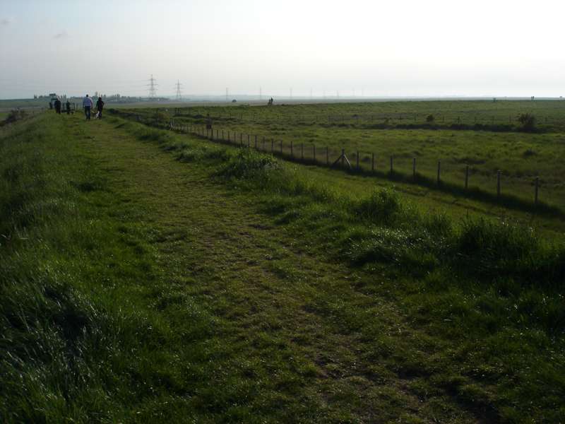 South Swale Nature Reserve