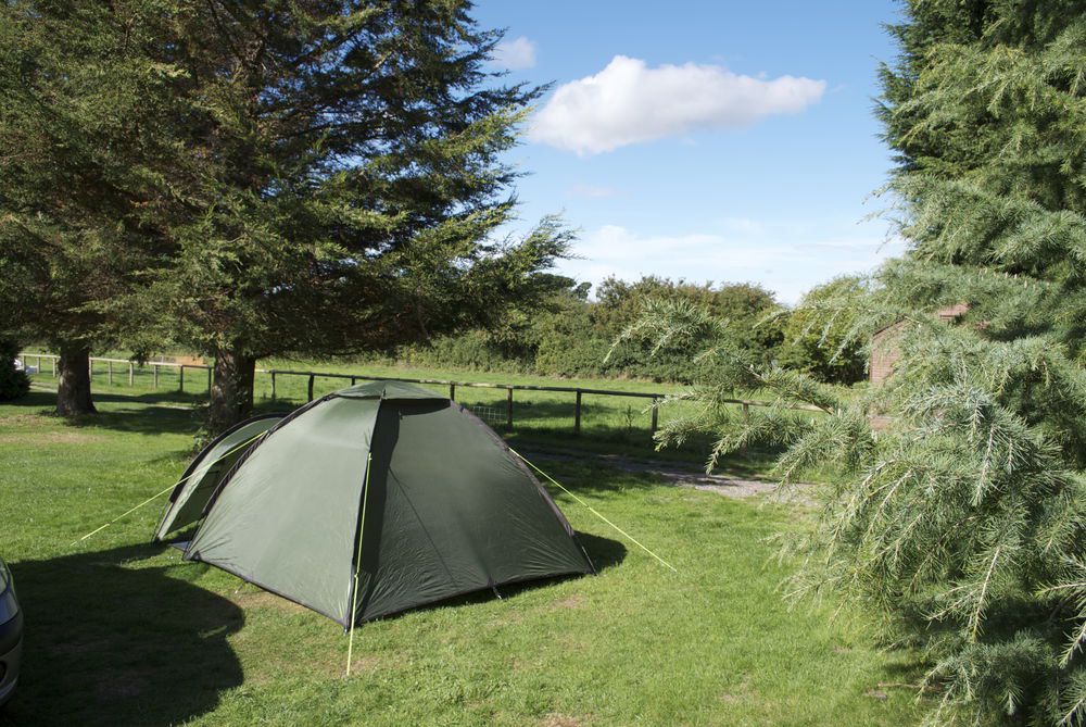 Grass Pitch (Tent Only) 6 at Cotswolds Camping Cool Camping (6230)