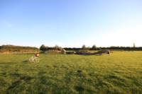 Grass electric pitch A6