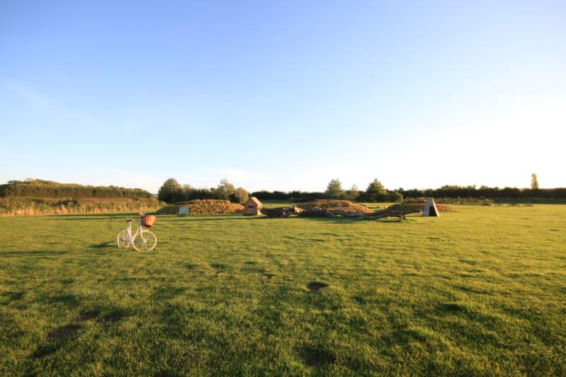 Grass electric pitch A6