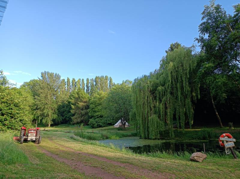 Wharton Shepherd's Hut