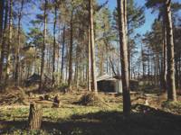 Lodge Tent