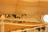 Lotus Belle Tent
