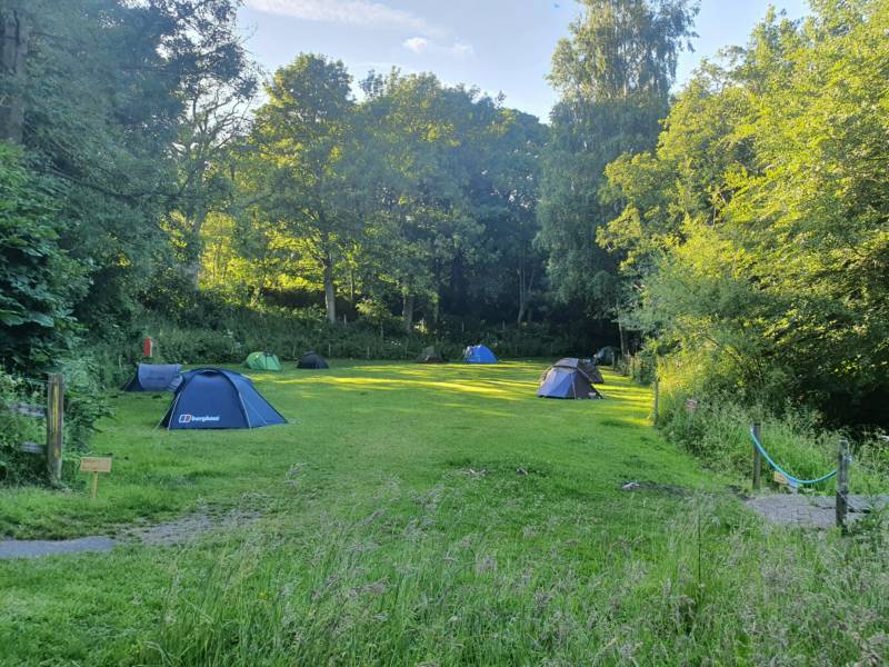 Grass Pitch only (No vehicle)