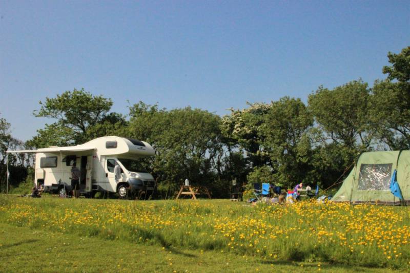 Grass Pitch 2 (optional electric hook-up)