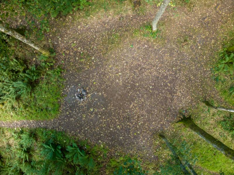 Woodland Tent Pitch 2 (3.5m x 3.5m)