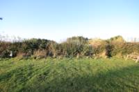 Grass electric pitch A4