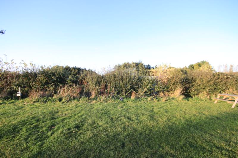 Grass electric pitch A4