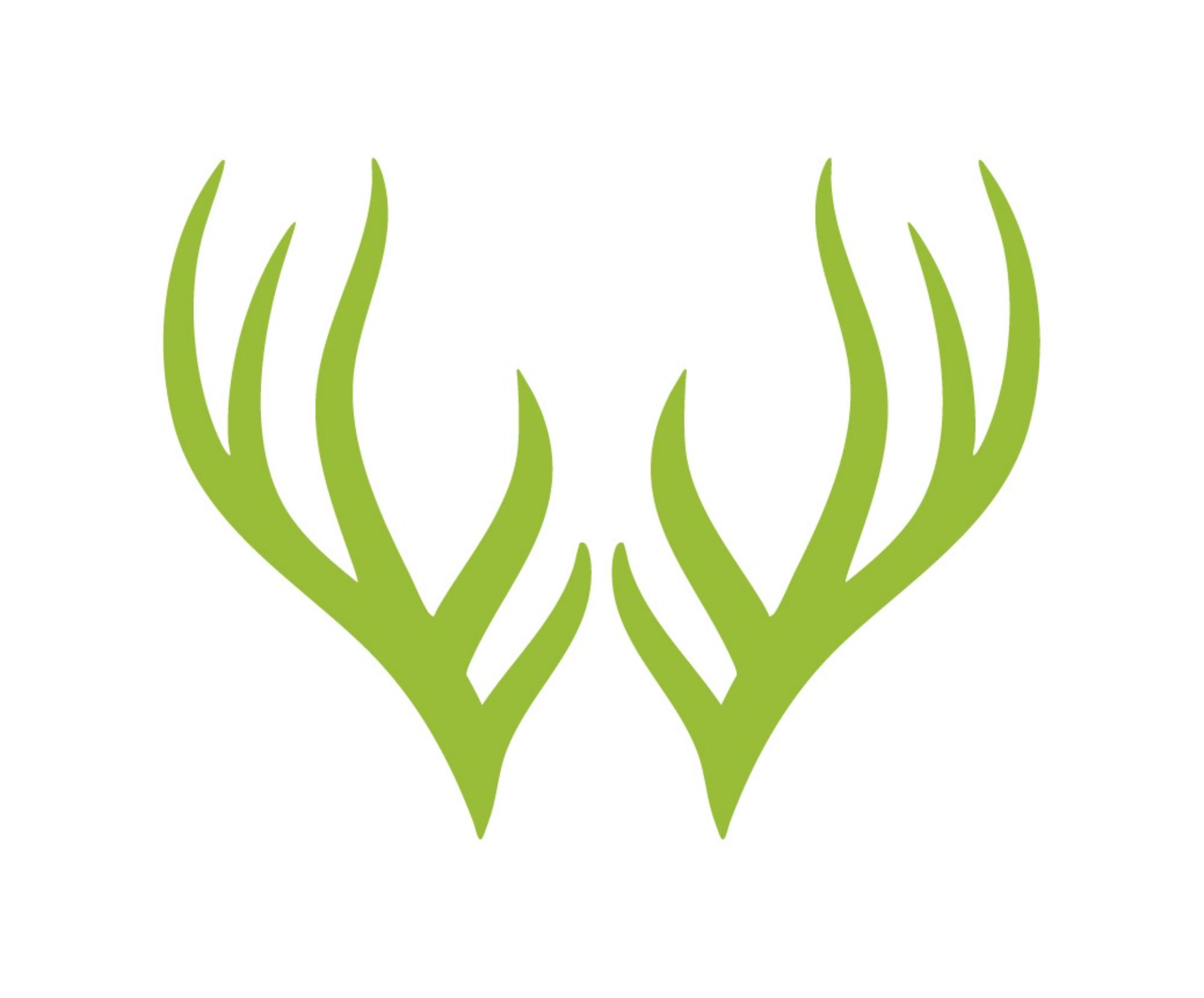 Wealderness