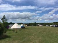 Grass pitch with electric