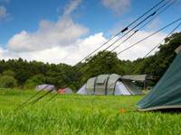 Non Electric Camping Pitch
