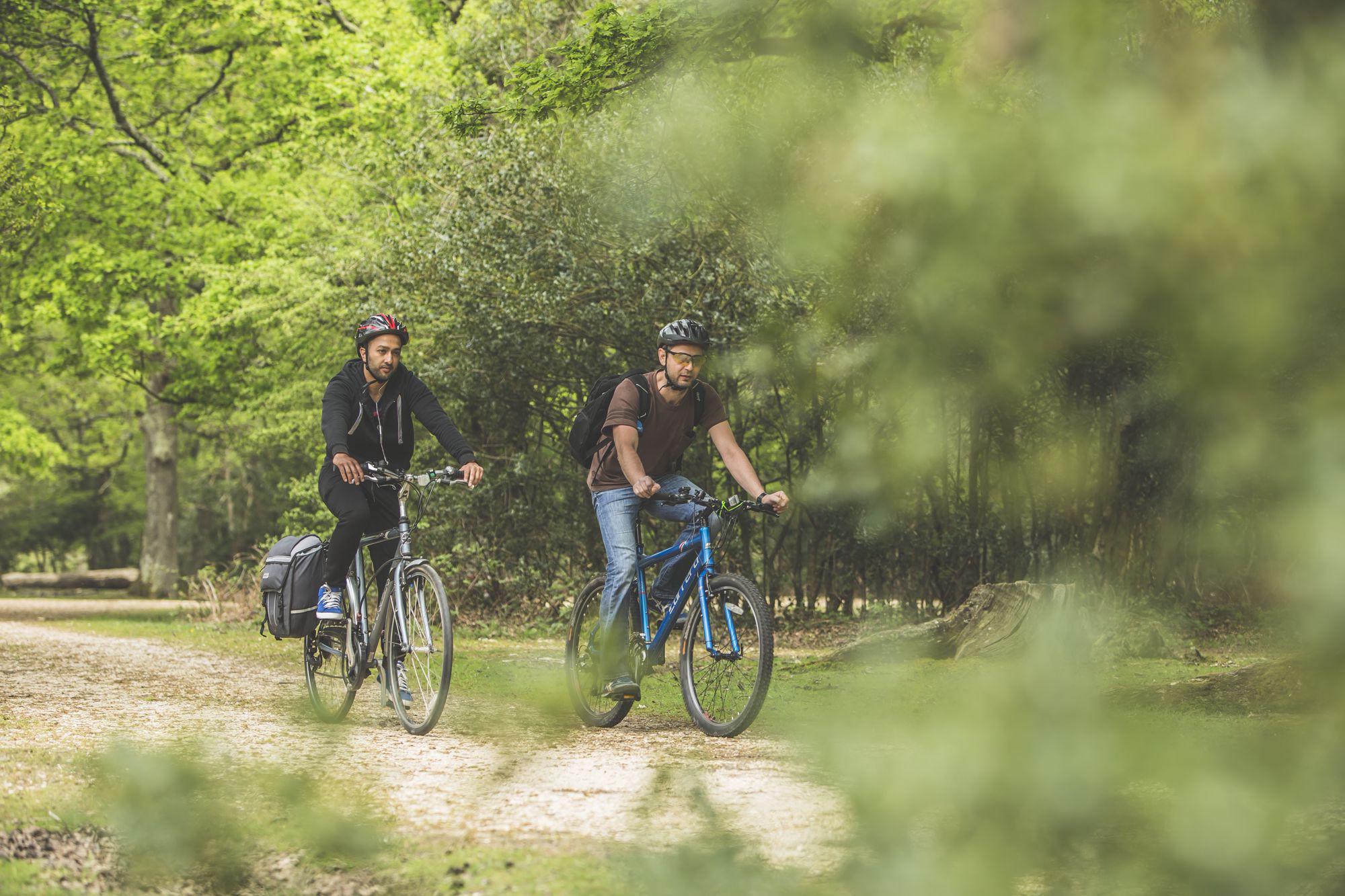 New Forest car-free cycle paths