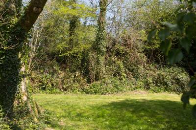 Streambank - Wild Camping - Private Pitch