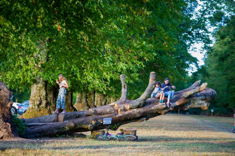 Harry's Meadow Hale Park, Hale, Fordingbridge, Hampshire SP6 2RE