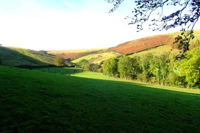 Westermill Farm Holidays Exford, Exmoor, Nr Minehead, Somerset TA24 7NJ