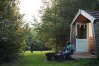 Exclusive site hire at Cwtch Woodland Camp