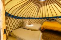 Buzzard Yurt