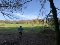 The Encampment - Sycamore