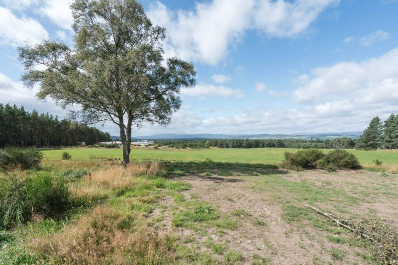 Pitch 2 - Carn Na Loinne